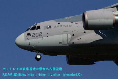 日本亞洲國產,亞洲國度的文化瑰寶與經濟引擎