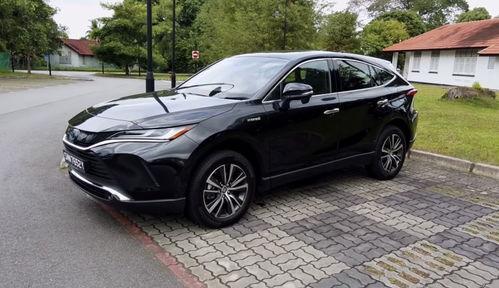 國(guó)產(chǎn)19p