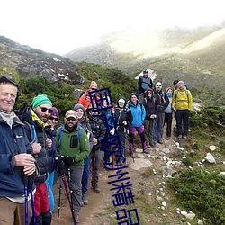 國產(chǎn)歐洲精品亞洲午夜拍精品,探尋激情與藝術(shù)的完美融合